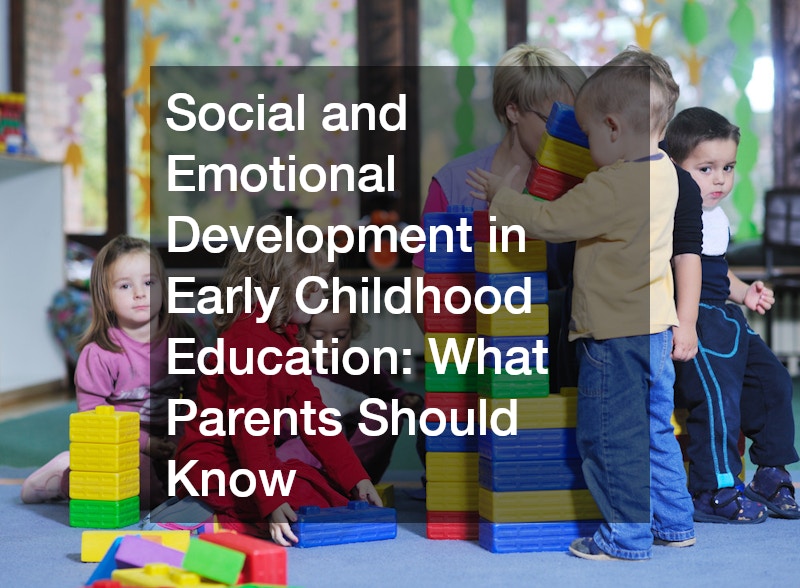 Social and Emotional Development in Early Childhood Education  What Parents Should Know